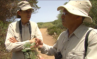 صورة حلقة المحتوى