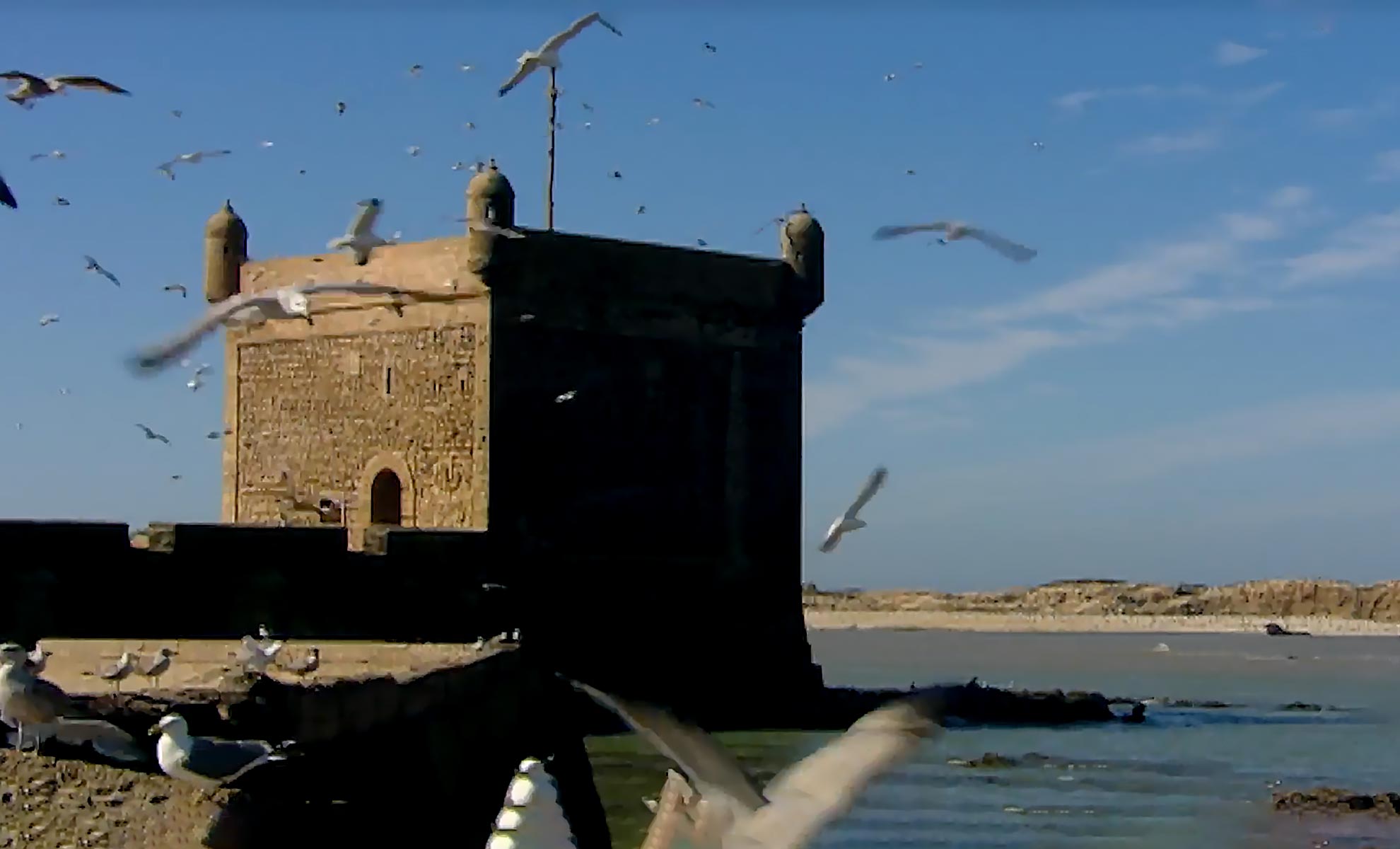 صورة حلقة المحتوى