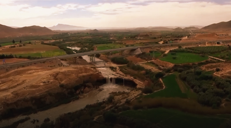 صورة حلقة المحتوى