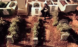 صورة حلقة المحتوى