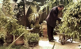 صورة حلقة المحتوى