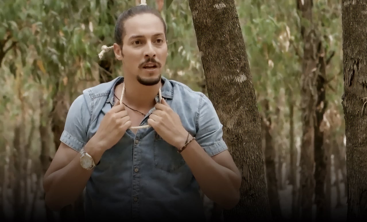 صورة حلقة المحتوى