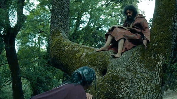 صورة حلقة المحتوى