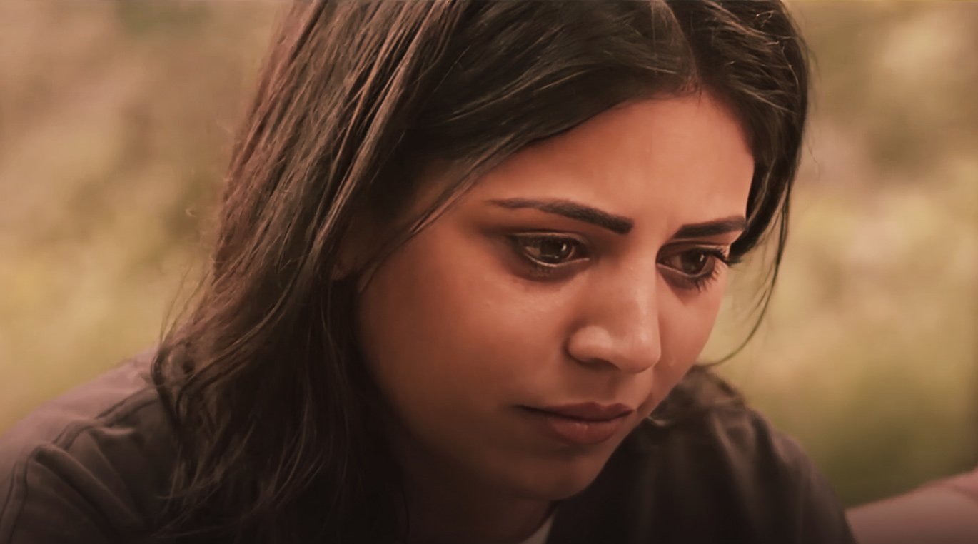 صورة حلقة المحتوى