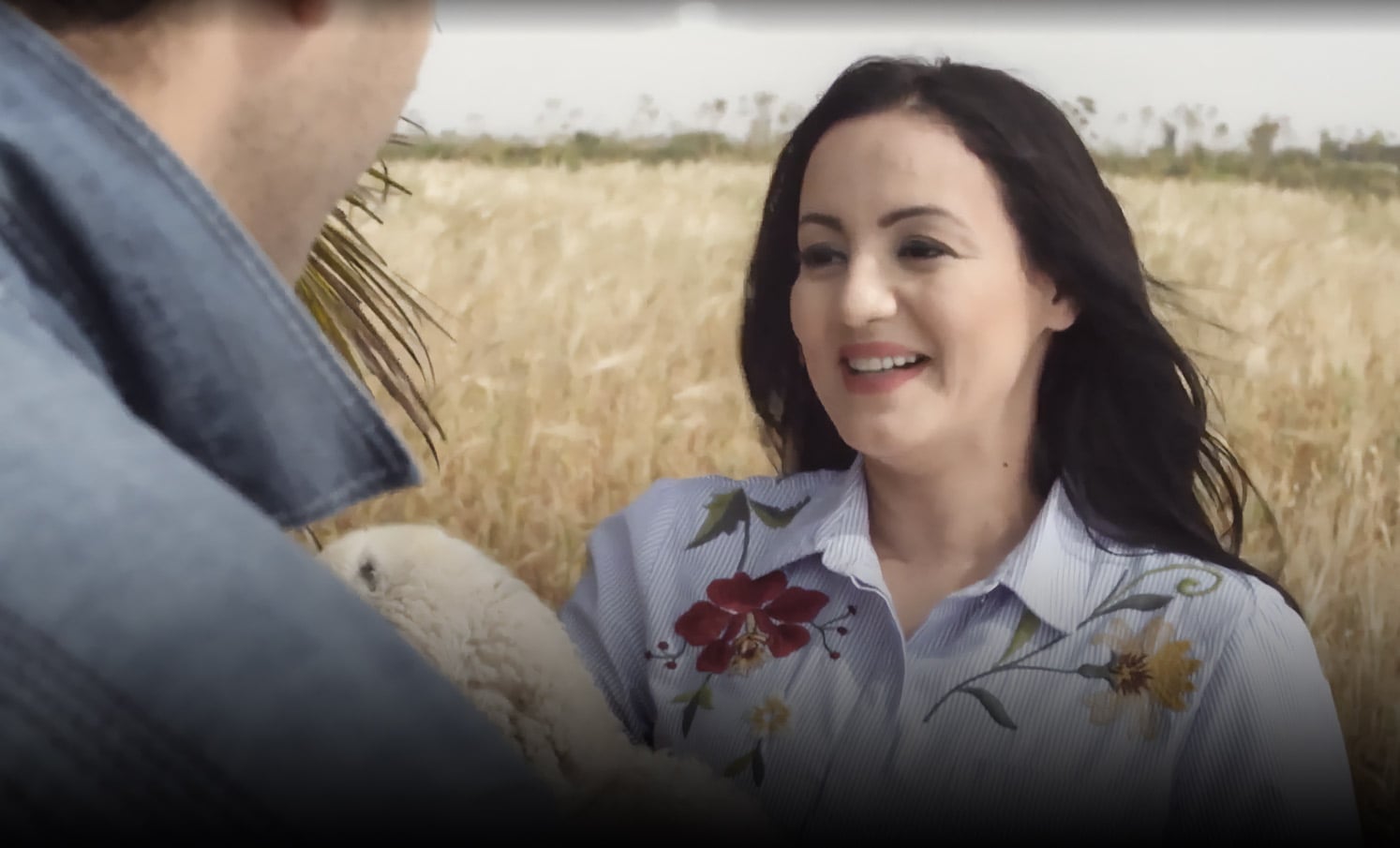 صورة حلقة المحتوى