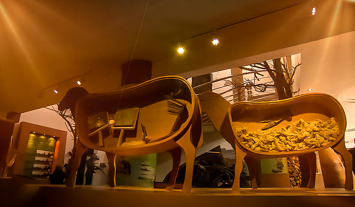 صورة حلقة المحتوى