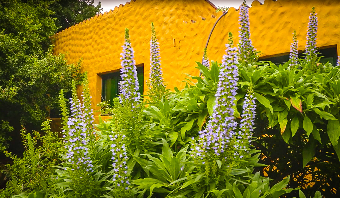 صورة حلقة المحتوى