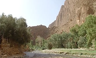 صورة حلقة المحتوى