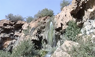 صورة حلقة المحتوى