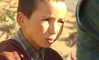 صورة حلقة المحتوى