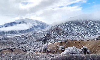 صورة حلقة المحتوى