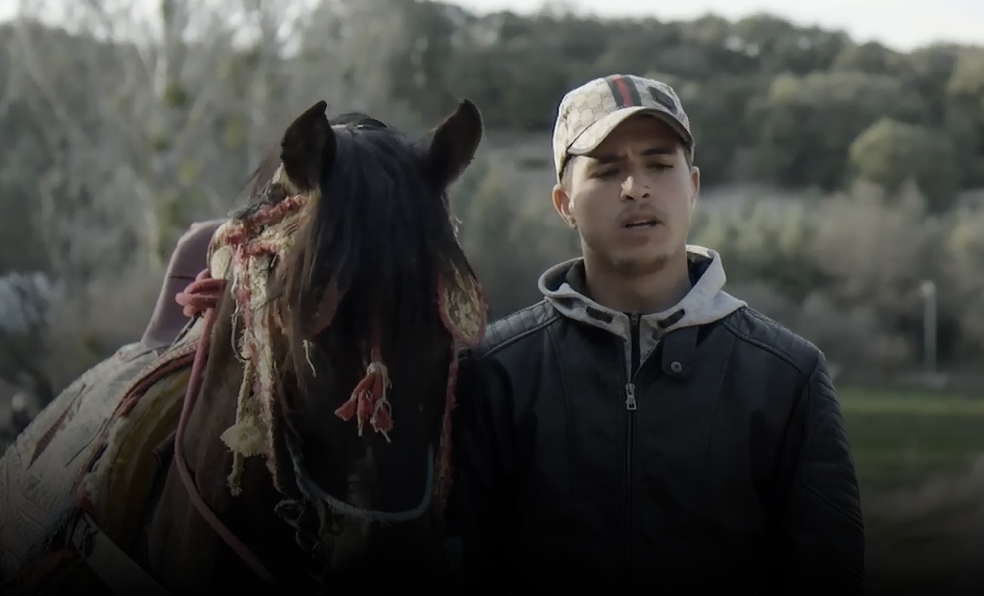 صورة حلقة المحتوى