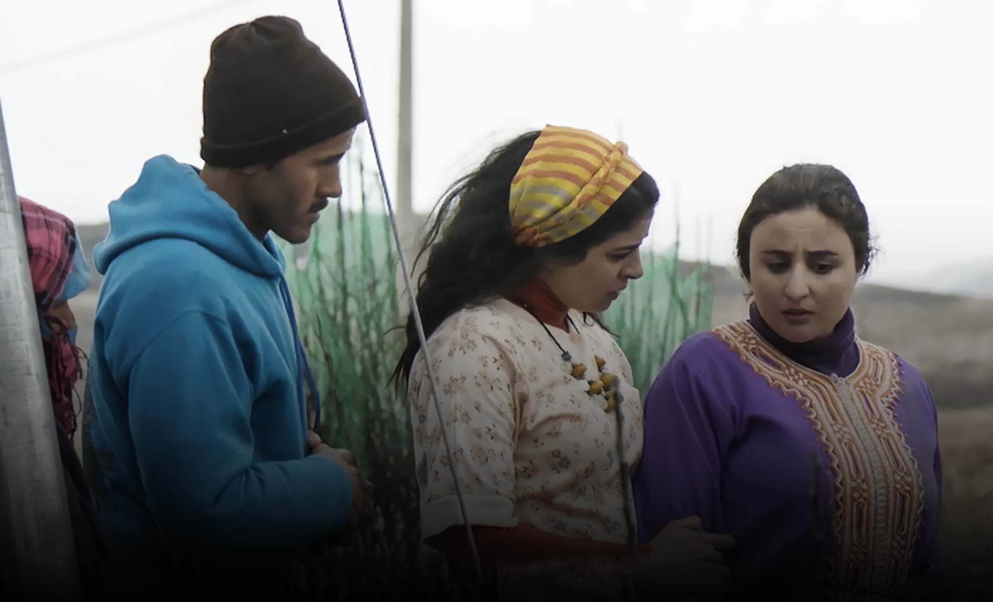 صورة حلقة المحتوى