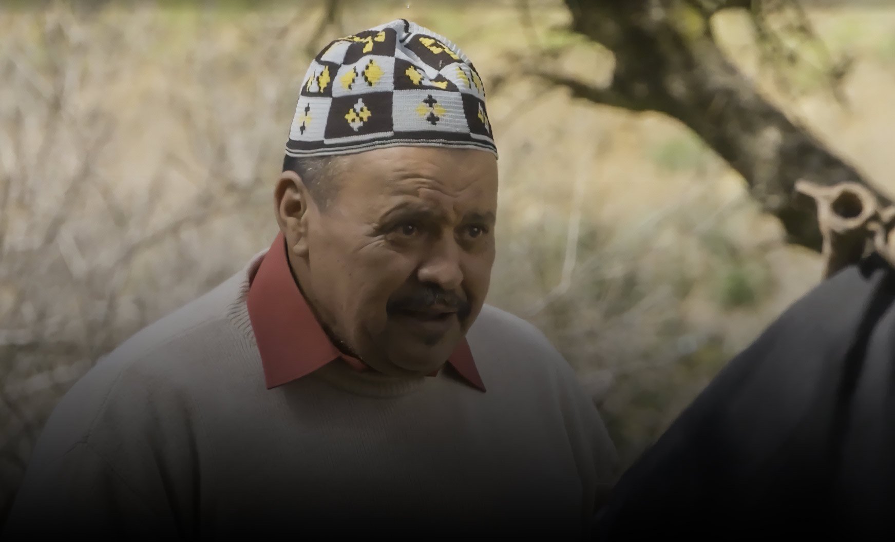 صورة حلقة المحتوى