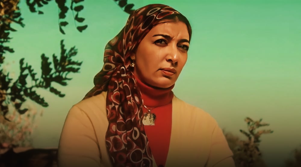 صورة حلقة المحتوى