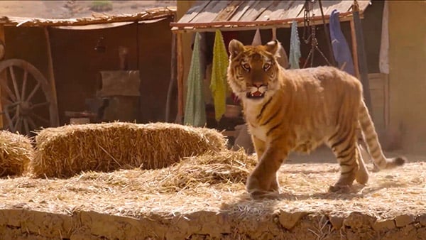 صورة حلقة المحتوى