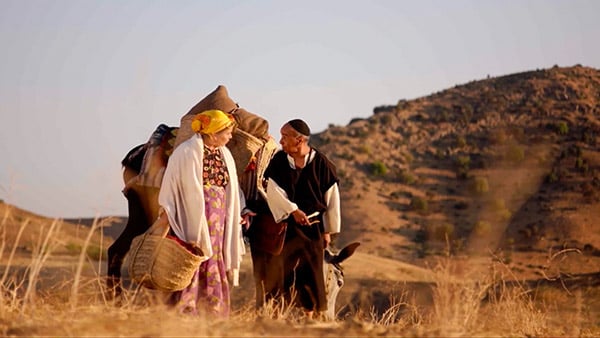 صورة حلقة المحتوى