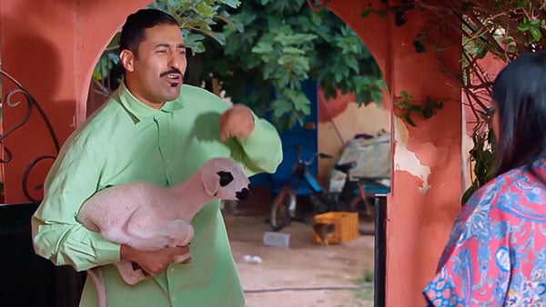 صورة حلقة المحتوى