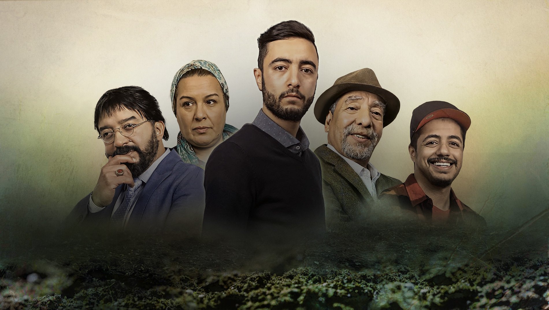 صورة بوستر المحتوى