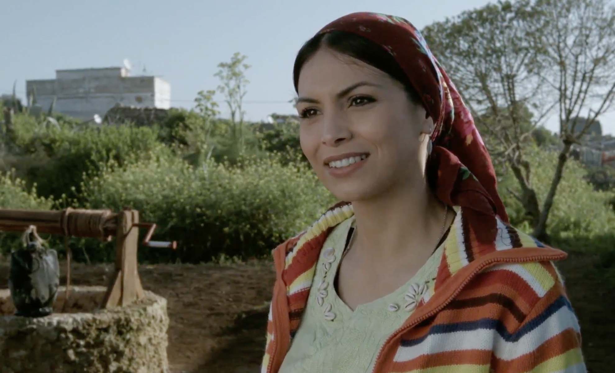 صورة حلقة المحتوى