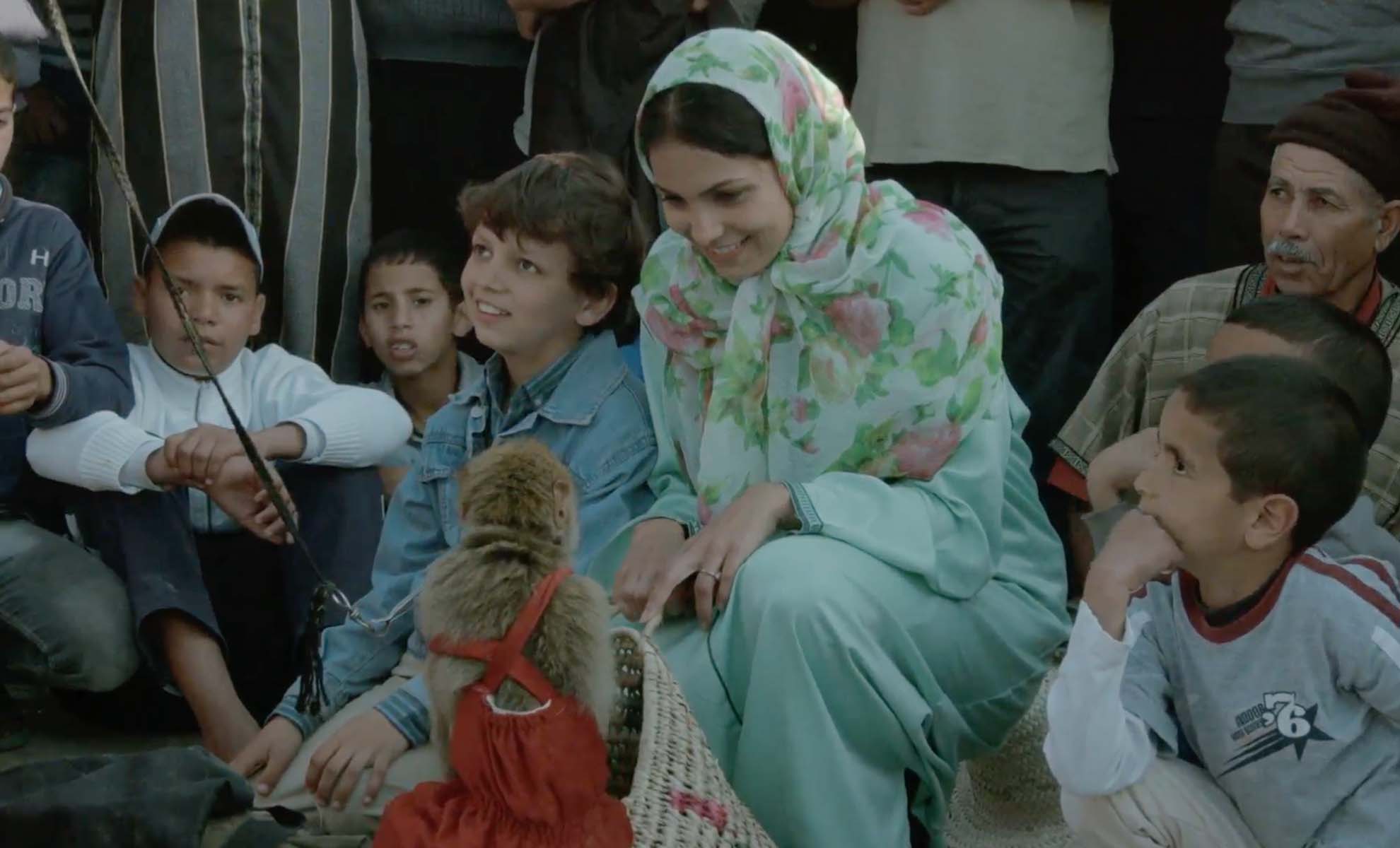 صورة حلقة المحتوى