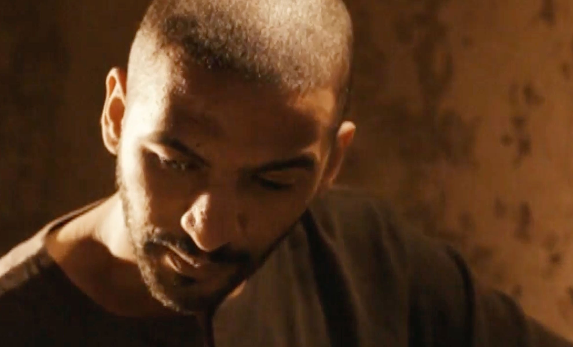 صورة حلقة المحتوى