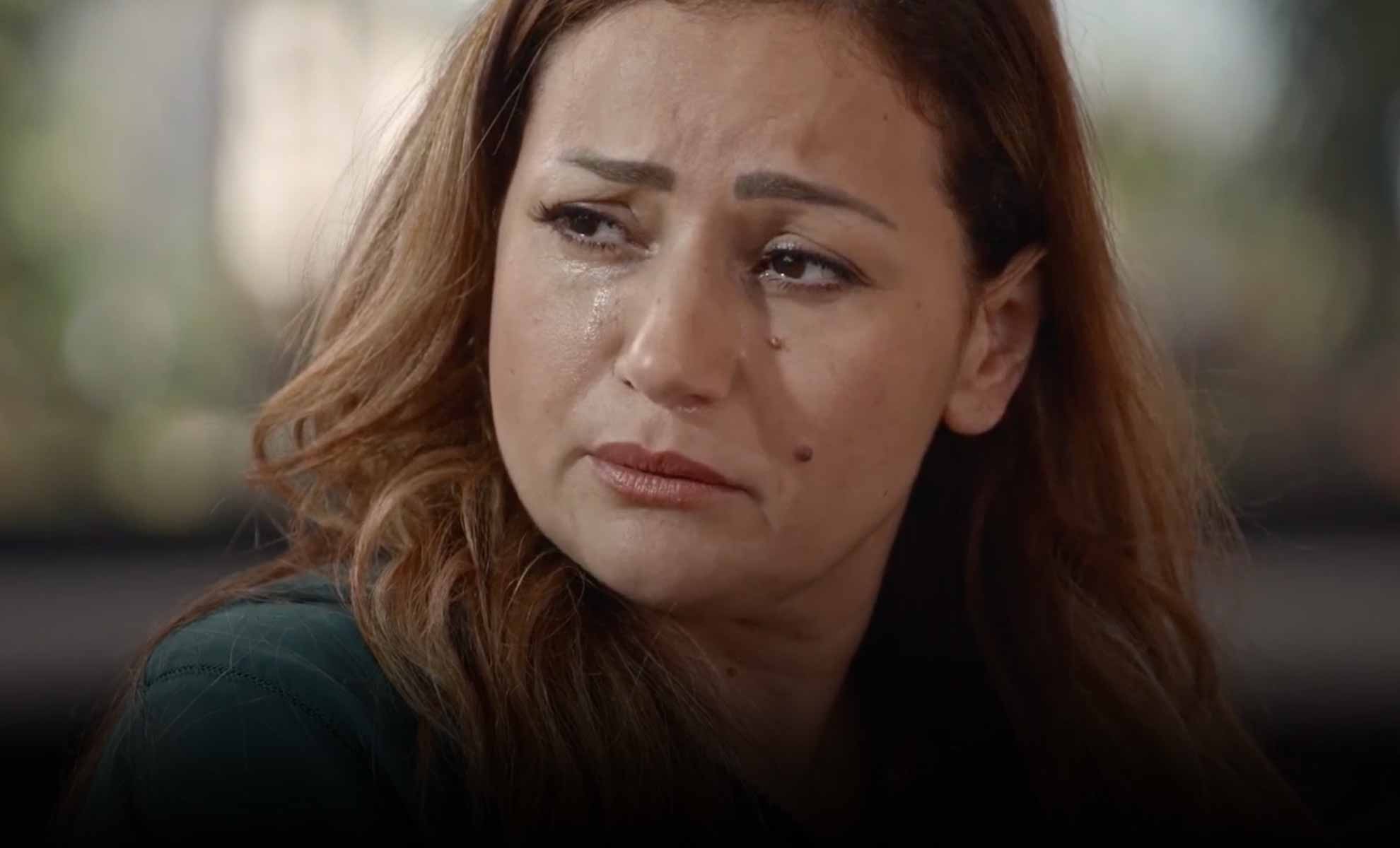 صورة حلقة المحتوى