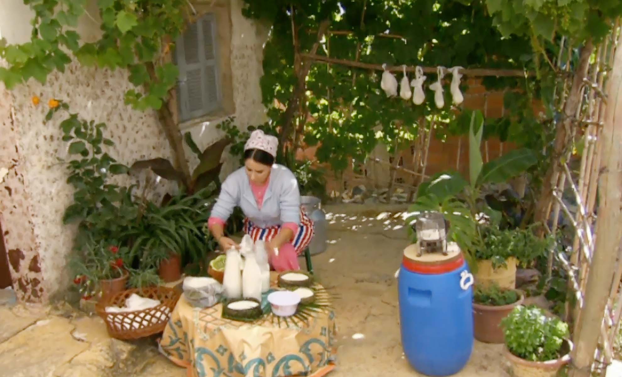 صورة حلقة المحتوى