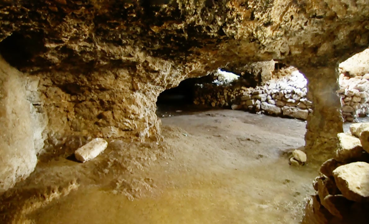 صورة حلقة المحتوى