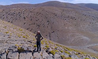 صورة حلقة المحتوى