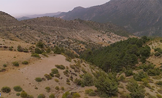 صورة حلقة المحتوى