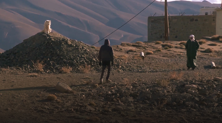 صورة حلقة المحتوى