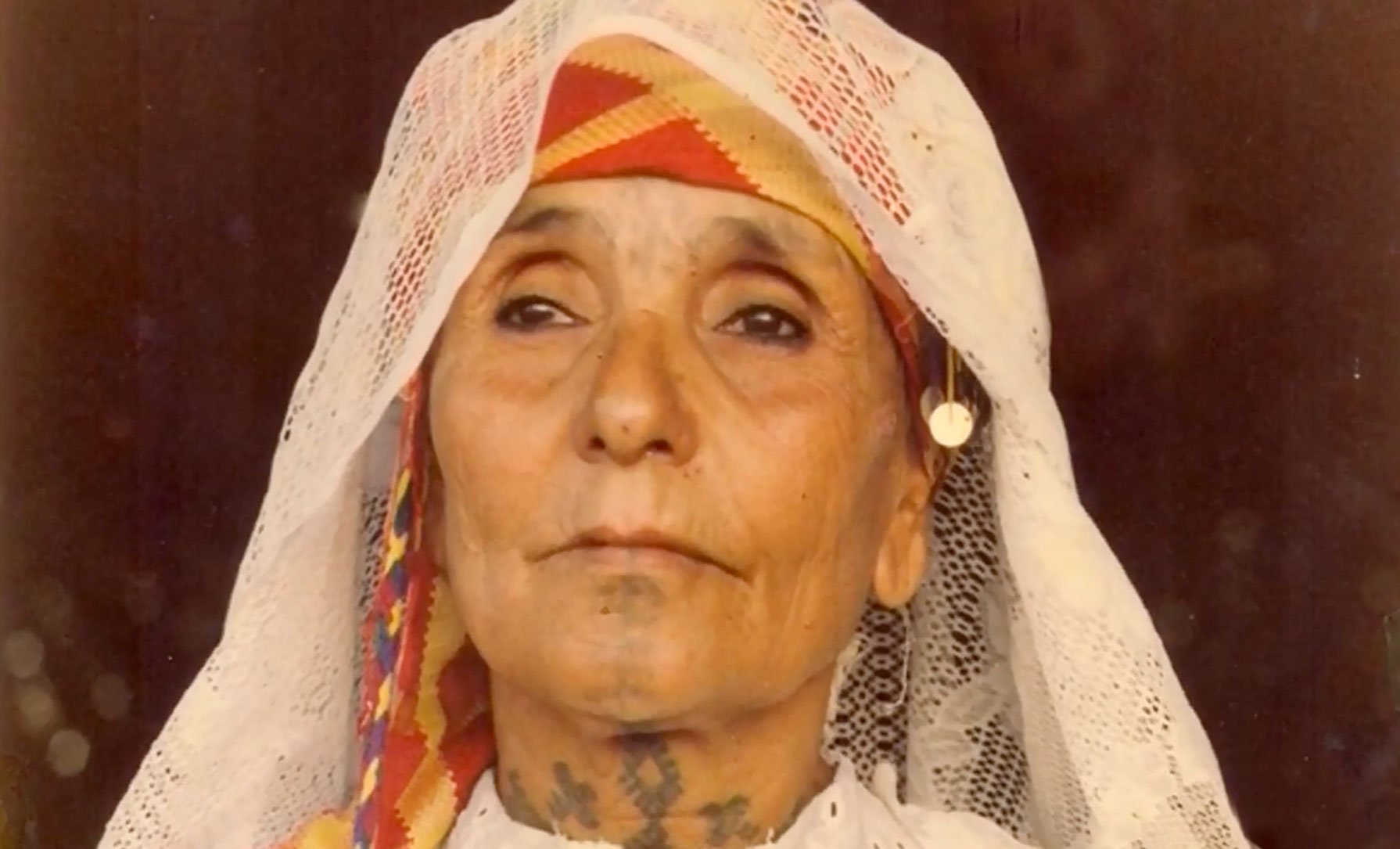 صورة حلقة المحتوى