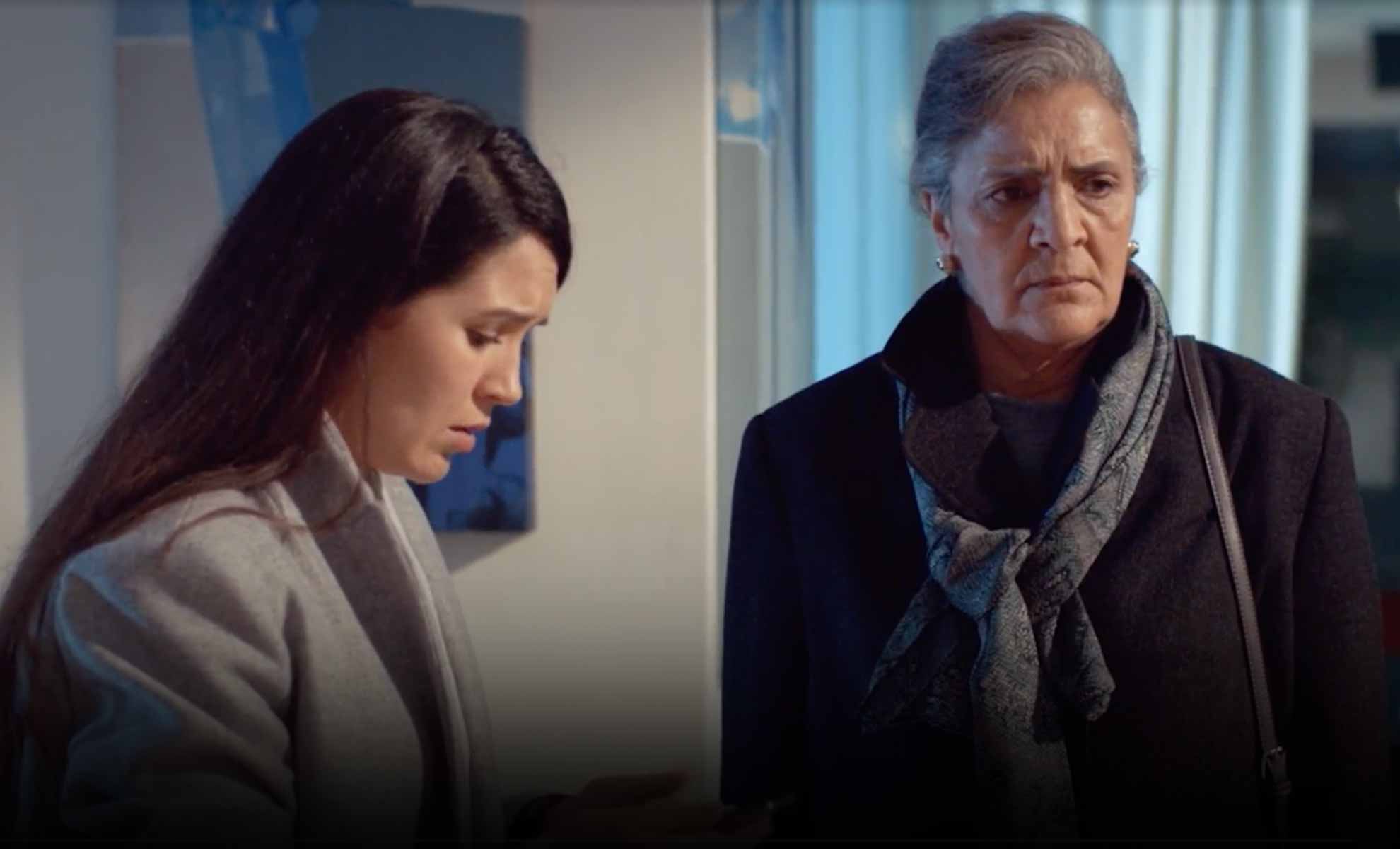 صورة حلقة المحتوى