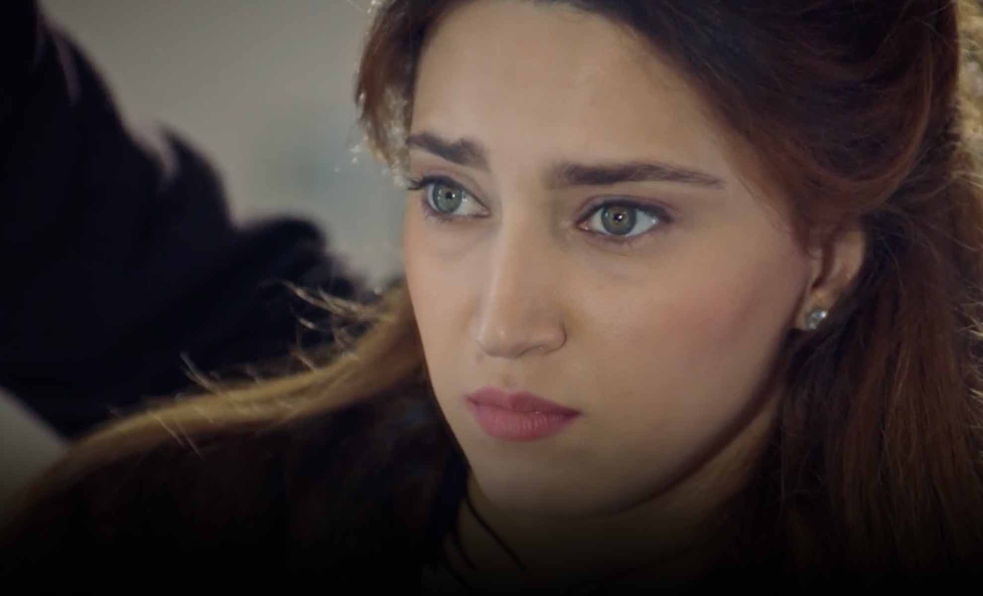 صورة حلقة المحتوى