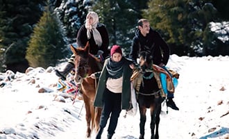 صورة حلقة المحتوى